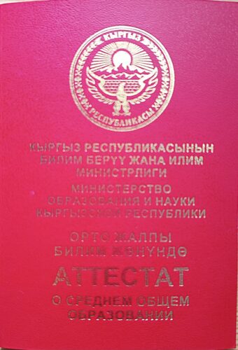 Сила знаний и упорства