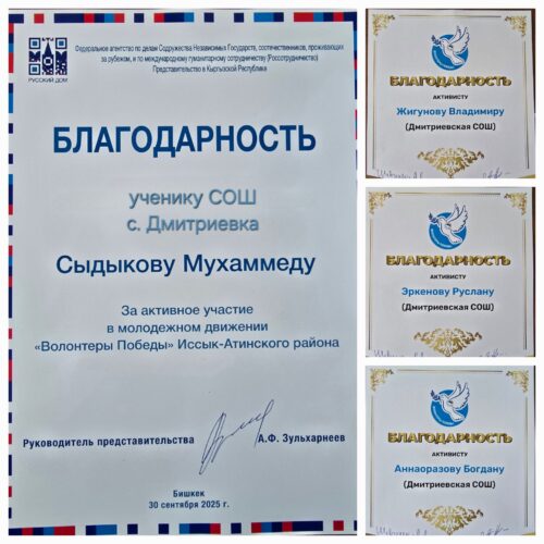 Слёт волонтёров Победы и молодёжного движения «Алга»